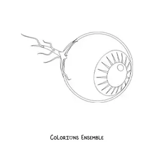Image à colorier d'un globe oculaire