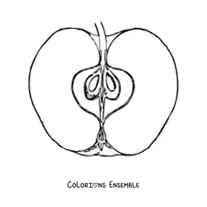 Image à colorier d’une demi-pomme