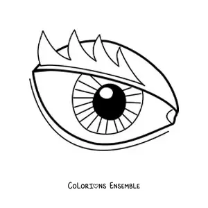 Image à colorier d'un œil de style dessin animé avec des cils