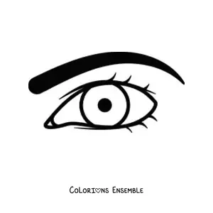 Image à colorier d'un œil masculin avec un sourcil