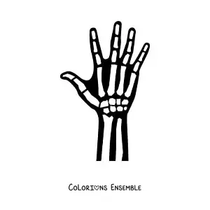 Image à colorier d'une radiographie de la main droite