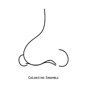 Coloriage d'un nez