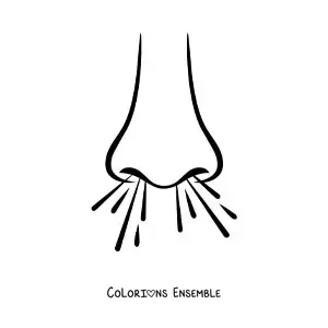 Coloriage d'un nez en train de respirer