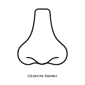 Coloriage d'un nez tout simple