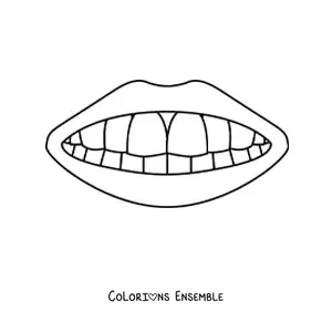 Coloriage d'une bouche montrant ses dents