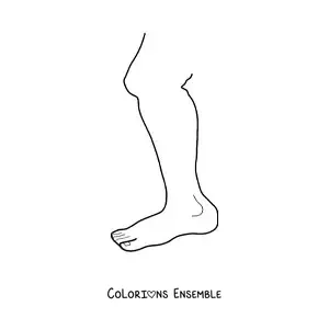 Coloriage d'une jambe