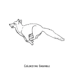 Coloriage d'un renard sauvage qui saute, la gueule ouverte