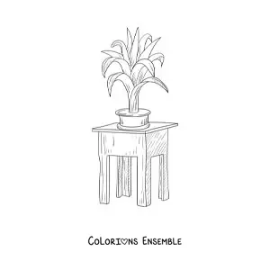 Image à colorier d’une plante posée sur une petite table carrée