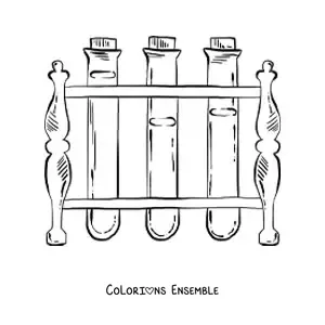 Image à colorier de réactifs chimiques dans des tubes à essai