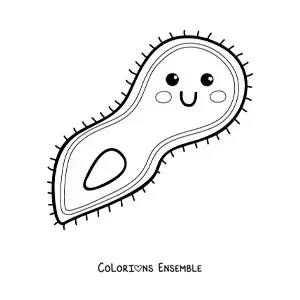 Image à colorier d’un protozoaire kawaii