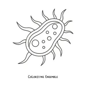 Image à colorier d'une cellule bactérienne