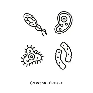 Image à colorier de plusieurs micro-organismes