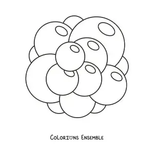 Image à colorier d'une cellule souche
