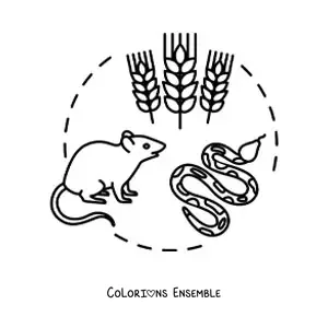 Image à colorier de la chaîne alimentaire terrestre