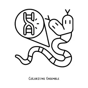Image à colorier d'une mutation génétique