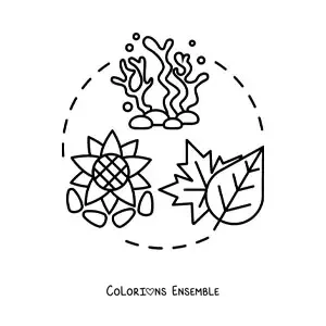 Image à colorier du règne végétal