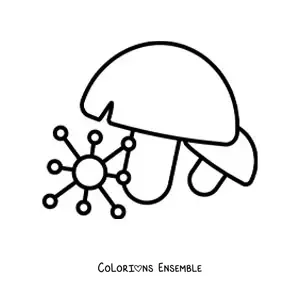 Image à colorier du règne des champignons