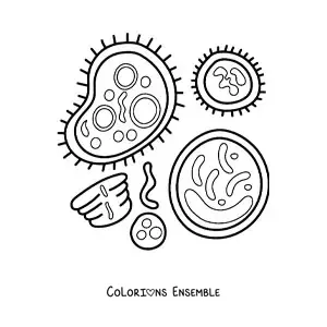 Image à colorier de bactéries et de cellules