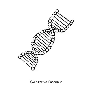 Image à colorier d'un brin d'ADN