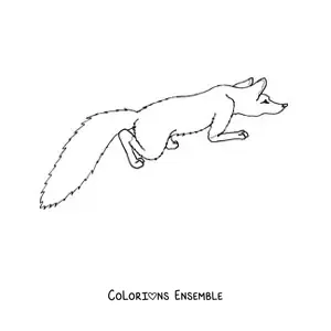 Coloriage d'un renard sauvage accroupi, vu de dessus