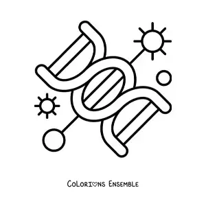 Image à colorier d'une molécule d'ADN