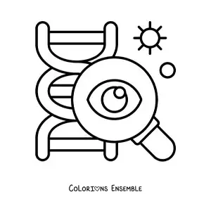 Image à colorier du génome