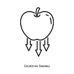 Image à colorier d'une pomme qui tombe représentant la gravité