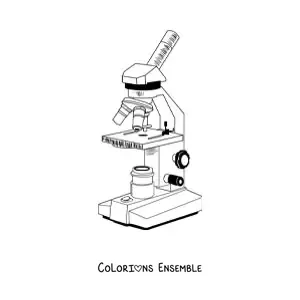 Image à colorier des différentes parties d'un microscope optique composé moderne