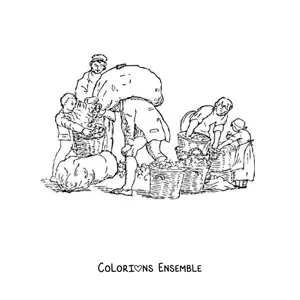Image à colorier de paysans récoltant des pommes avec des paniers et des sacs