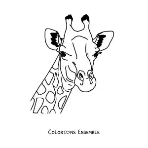 Coloriage du visage d'une girafe sauvage