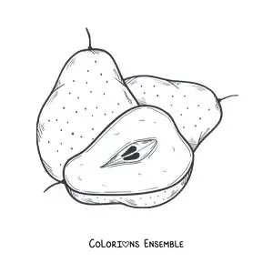Coloriage de deux poires entières et d'une poire coupée