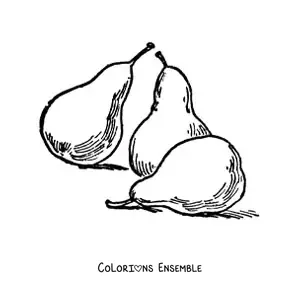 Coloriage de trois poires entières