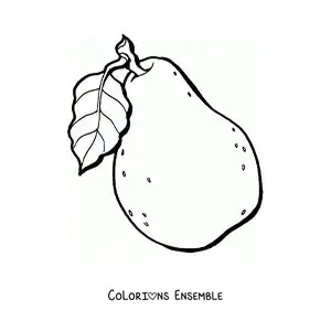 Coloriage d'une poire avec une feuille sur la tige