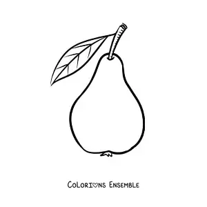 Coloriage d'une poire avec une tige et une feuille