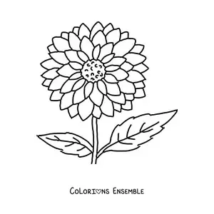 Dessin à colorier d’une fleur de printemps.