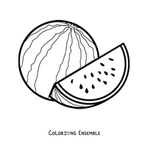 Coloriage d'une pastèque entière à côté d'un morceau de pastèque