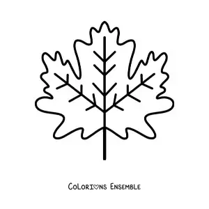 Dessin à colorier d’une feuille d’automne.