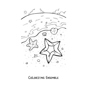 Image à colorier de plusieurs étoiles de mer au bord de la plage