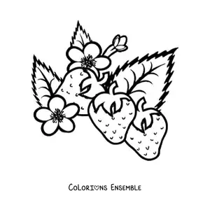 Image à colorier de trois fraises et de leurs fleurs