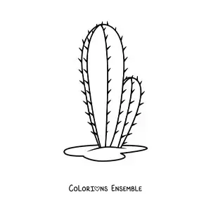 Image à colorier d'un cactus simple