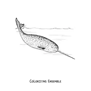Image à colorier d’un narval nageant dans la mer