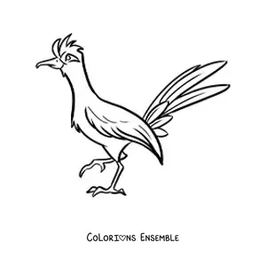 Image à colorier d'un grand géocoucou