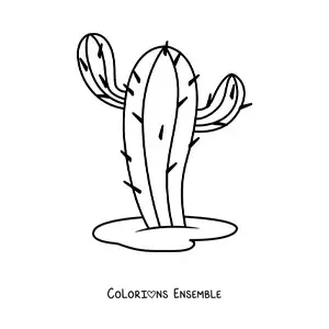 Image à colorier d'un cactus