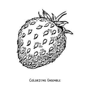 Image à colorier d'une fraise avec sa tige