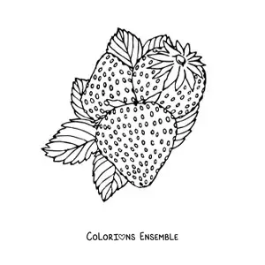 Image à colorier de trois fraises des bois avec leurs feuilles