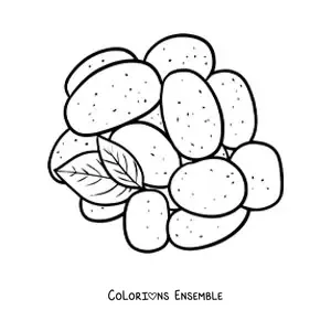 Image à colorier d'un tas de pommes de terre