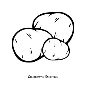 Image à colorier de trois pommes de terre entières
