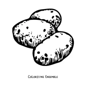 Image à colorier de trois pommes de terre crues
