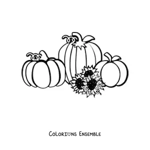Image à colorier de trois citrouilles à côté de trois tournesols