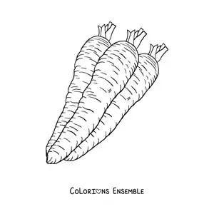 Image à colorier de trois carottes réalistes